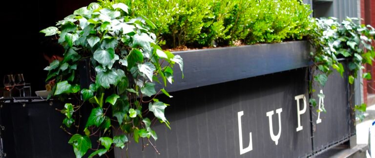 Top 5 Wine Experiences in NYC