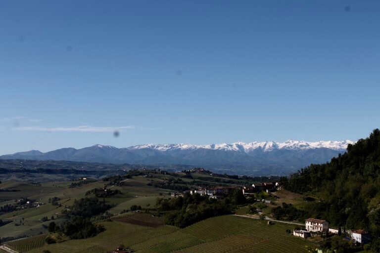 Bruno Giacosa