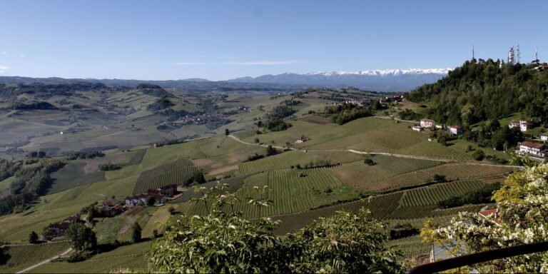 La Morra: A little piece of heaven