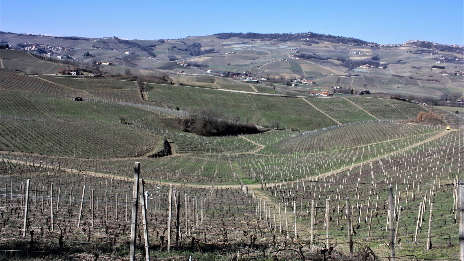 Barbera @ Vinmonopolet