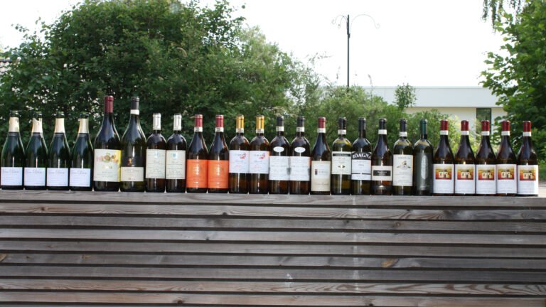 Pylsa & Barolo