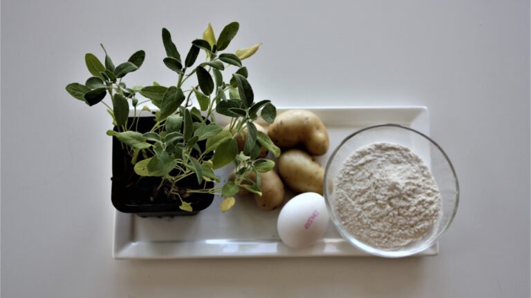 Gnocchi a la Piemontegirl