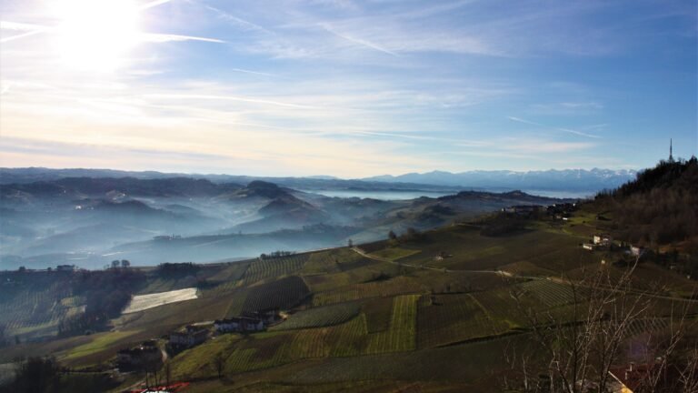 New year, new wine adventures