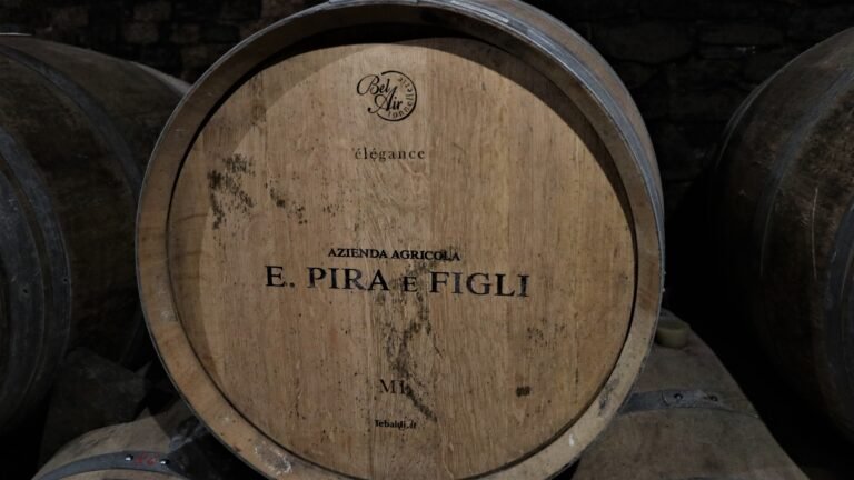 The Barolo “Boy”
