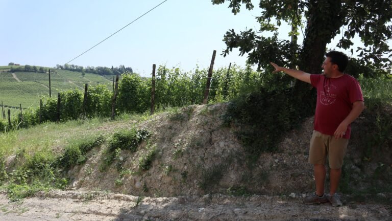 When to travel to Piemonte