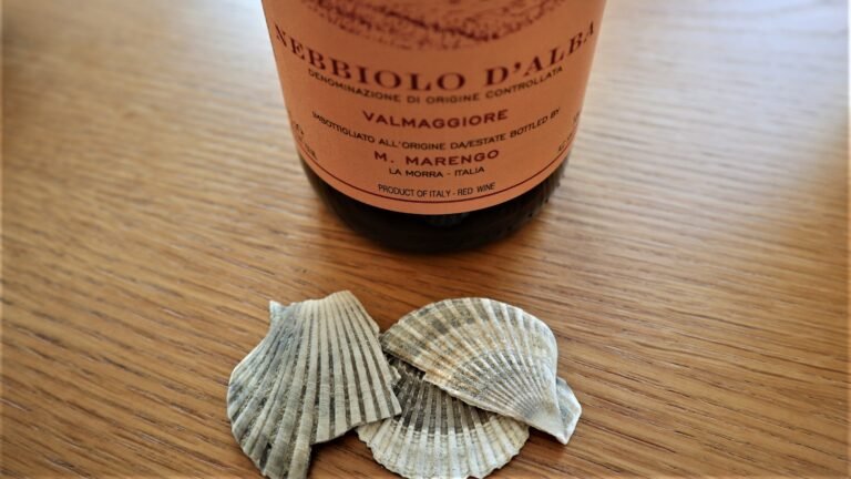 Fossils in Valmaggiore