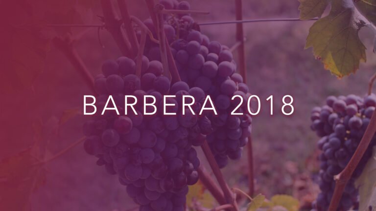 Barbera 2018