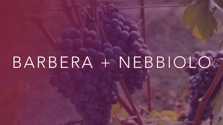 Blends – Barbera + Nebbiolo