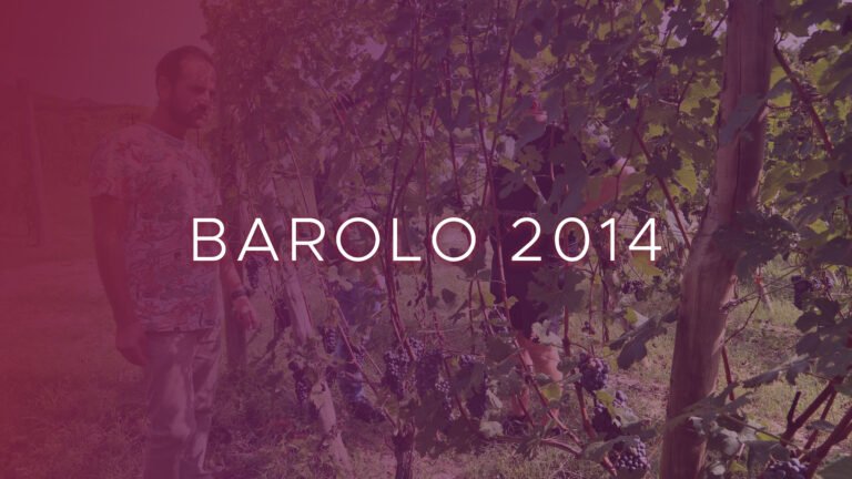 Barolo 2014