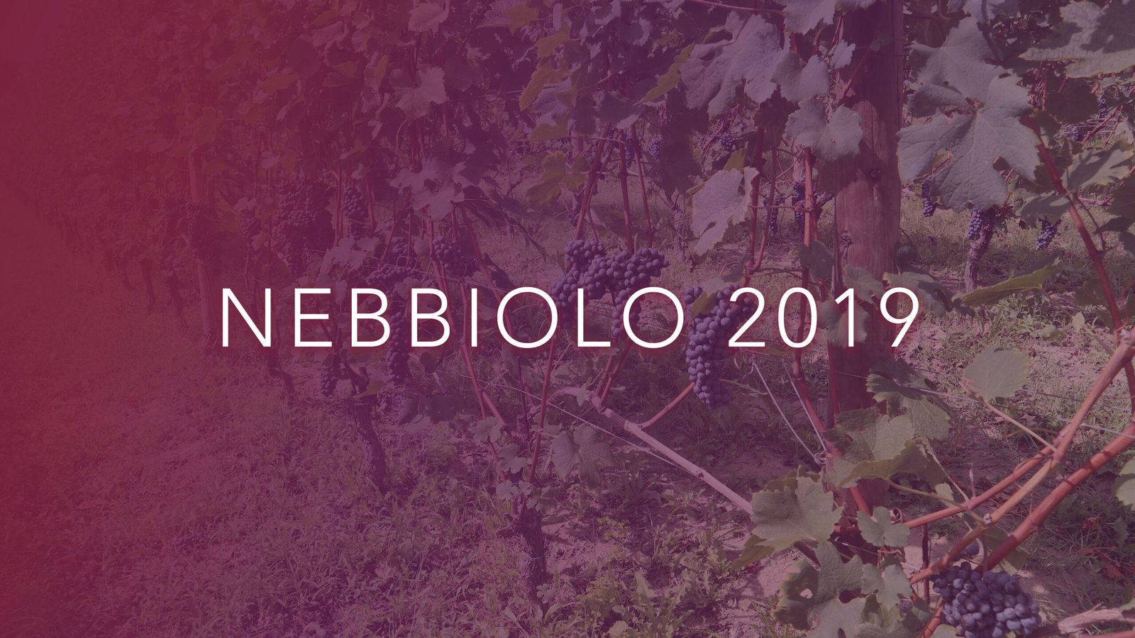 Langhe Nebbiolo 2019