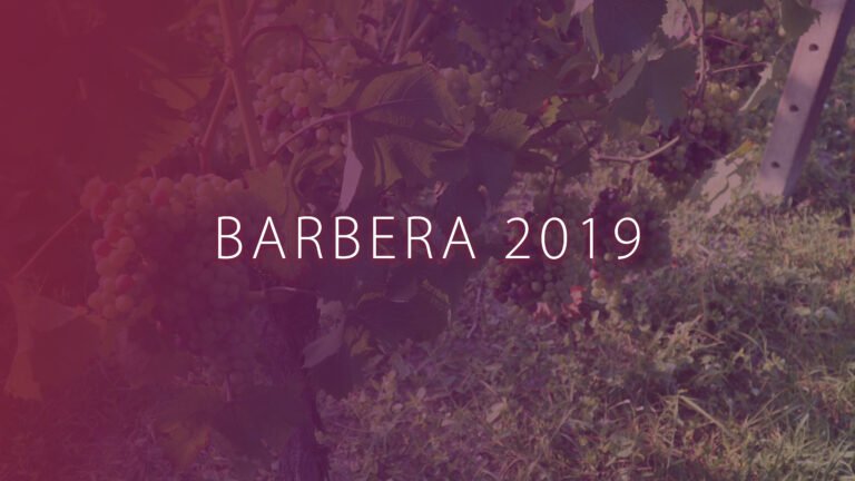 Barbera 2019
