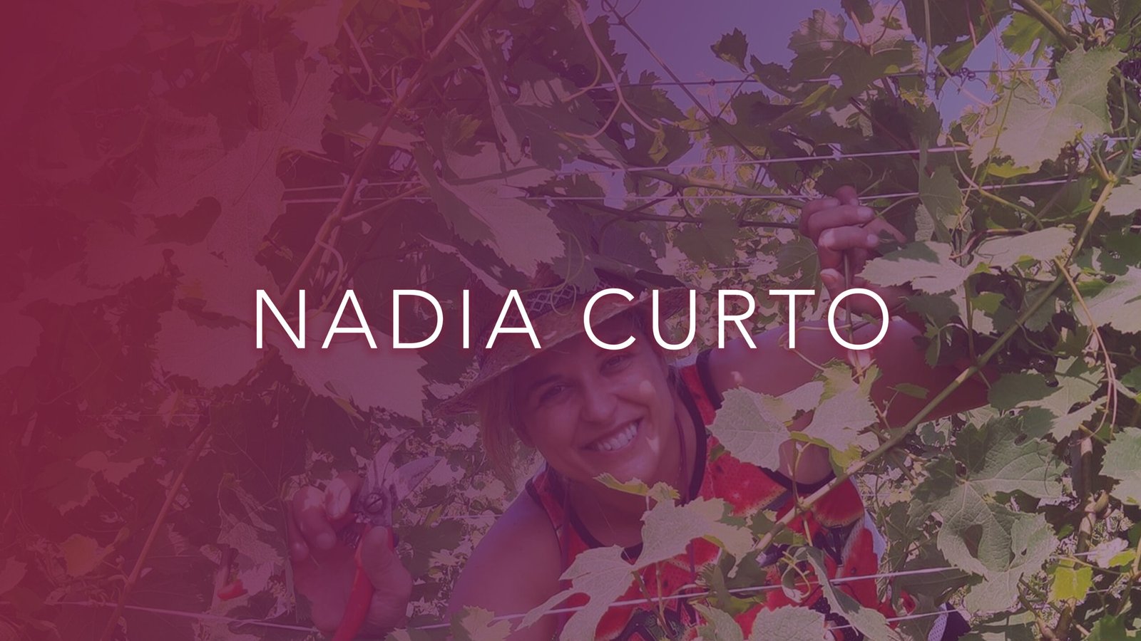60 minutes with Nadia Curto