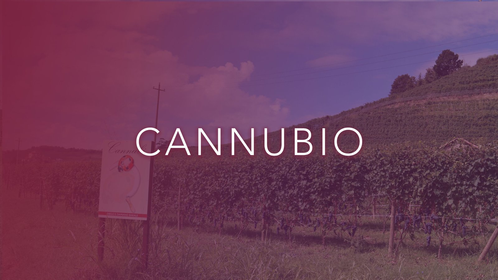 CannuBio