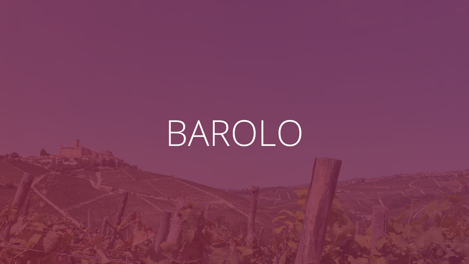 Let’s talk about Barolo