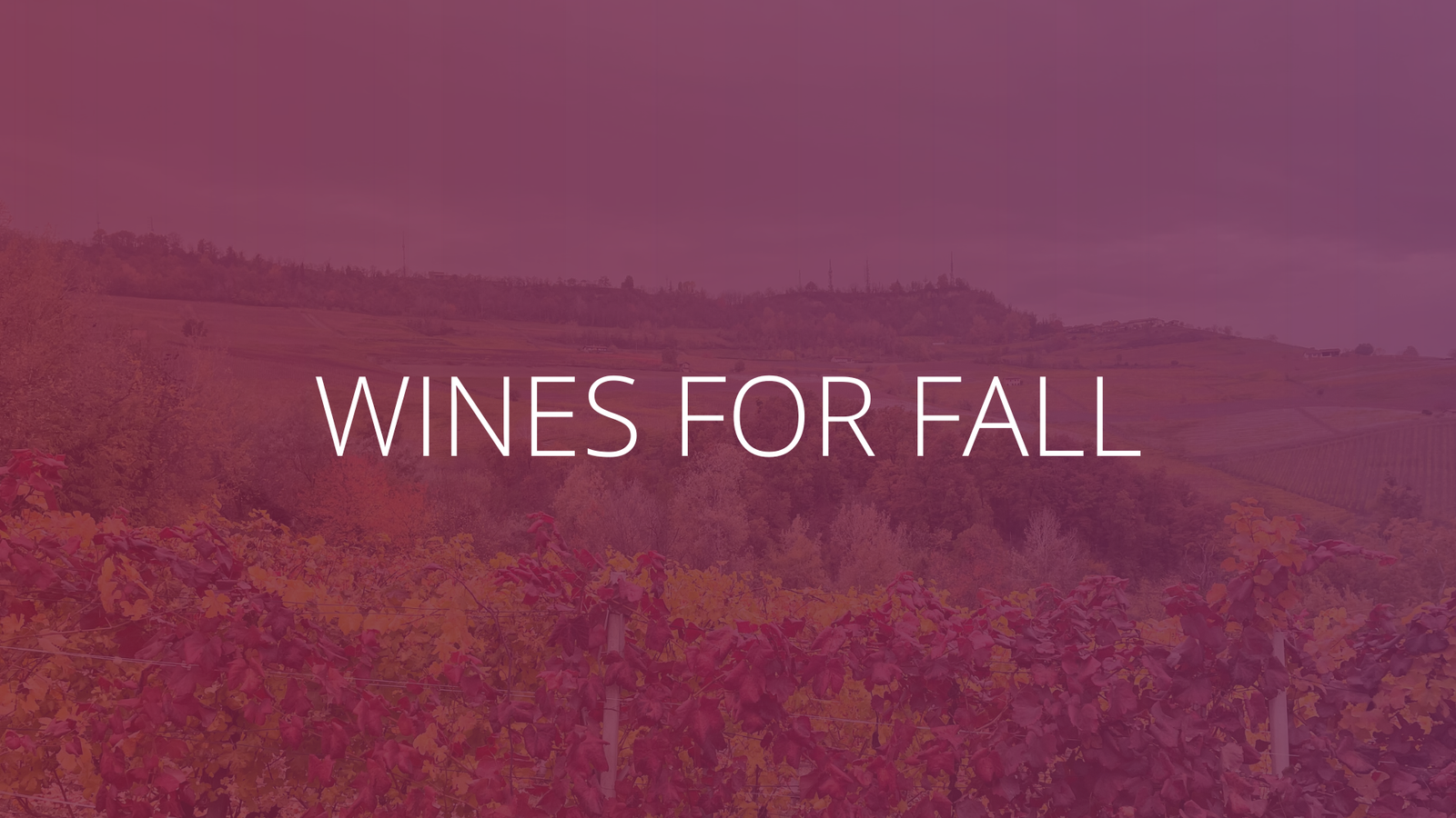 Wines for fall