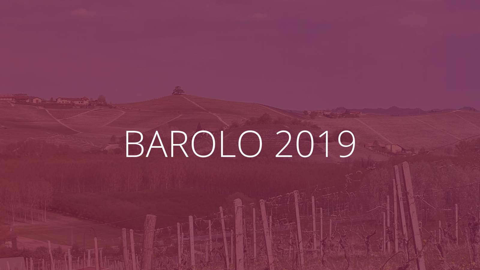 Barolo 2019