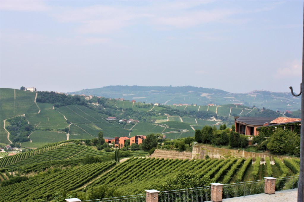 barolo 2018