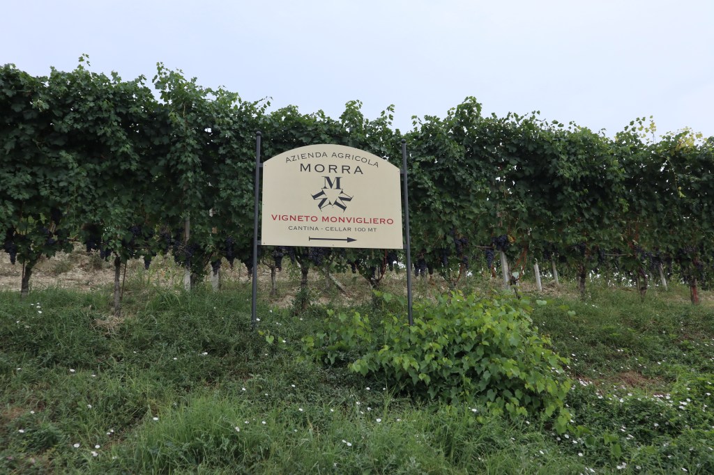 Diego Morra Monvigliero Sign