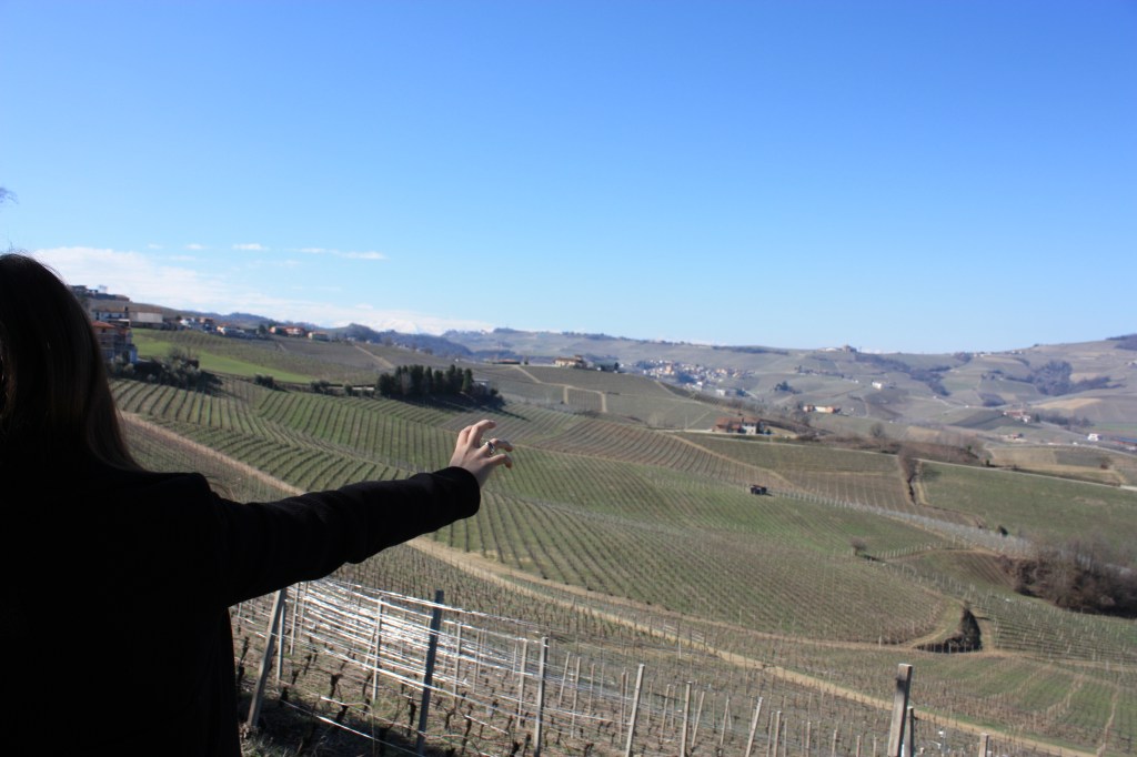 Cavallotto Vineyard Bricco Boschis