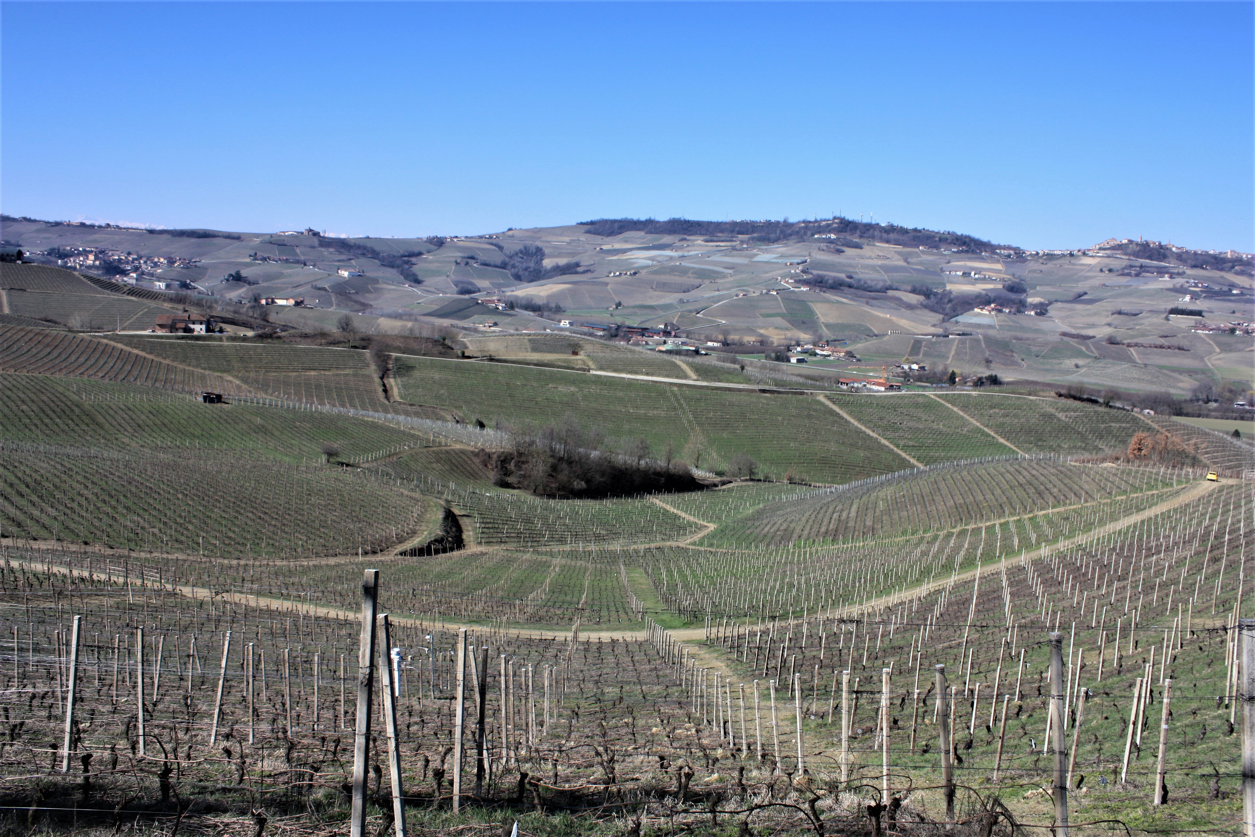 View La Morra Piemonte