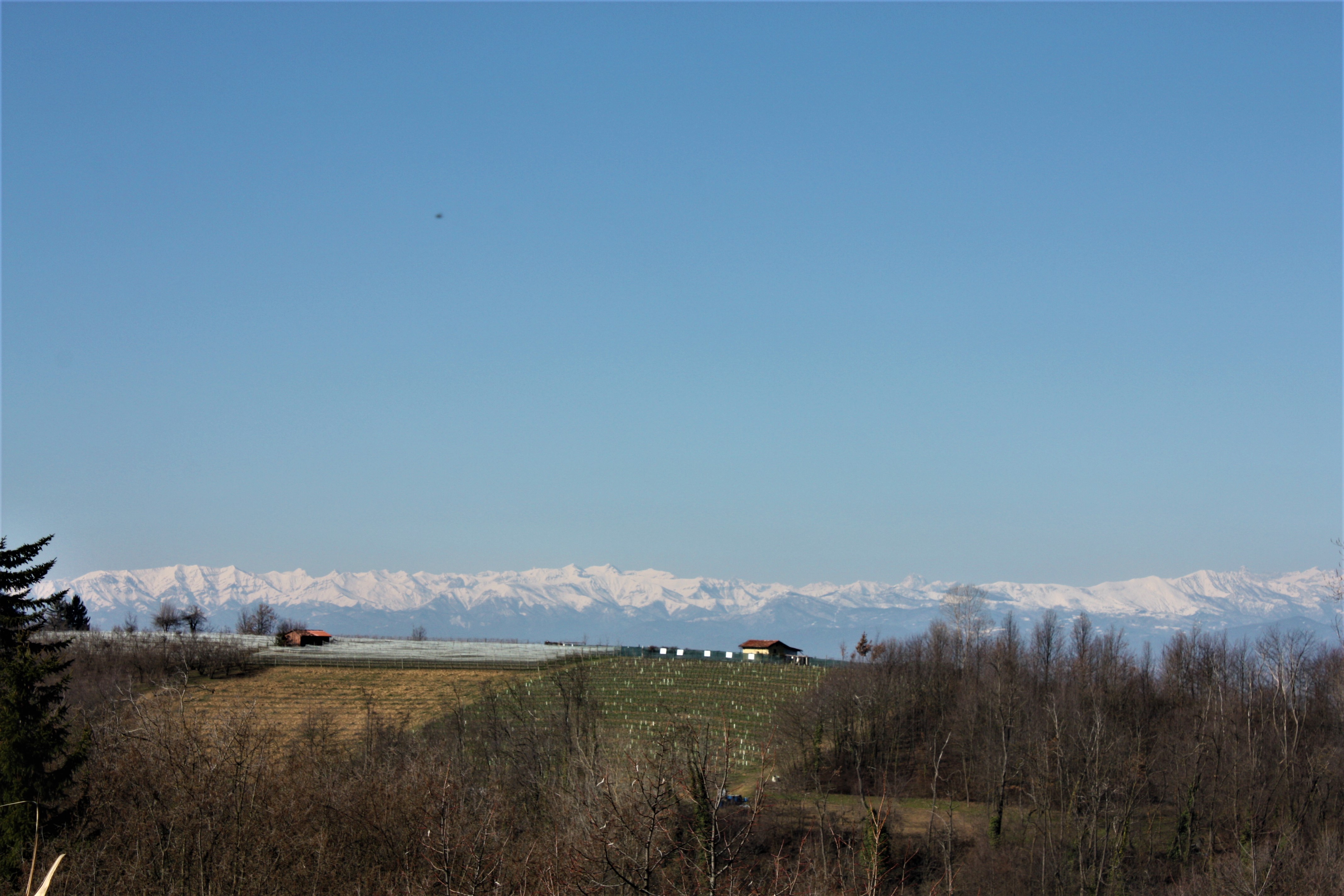 Piemontegirl mountains