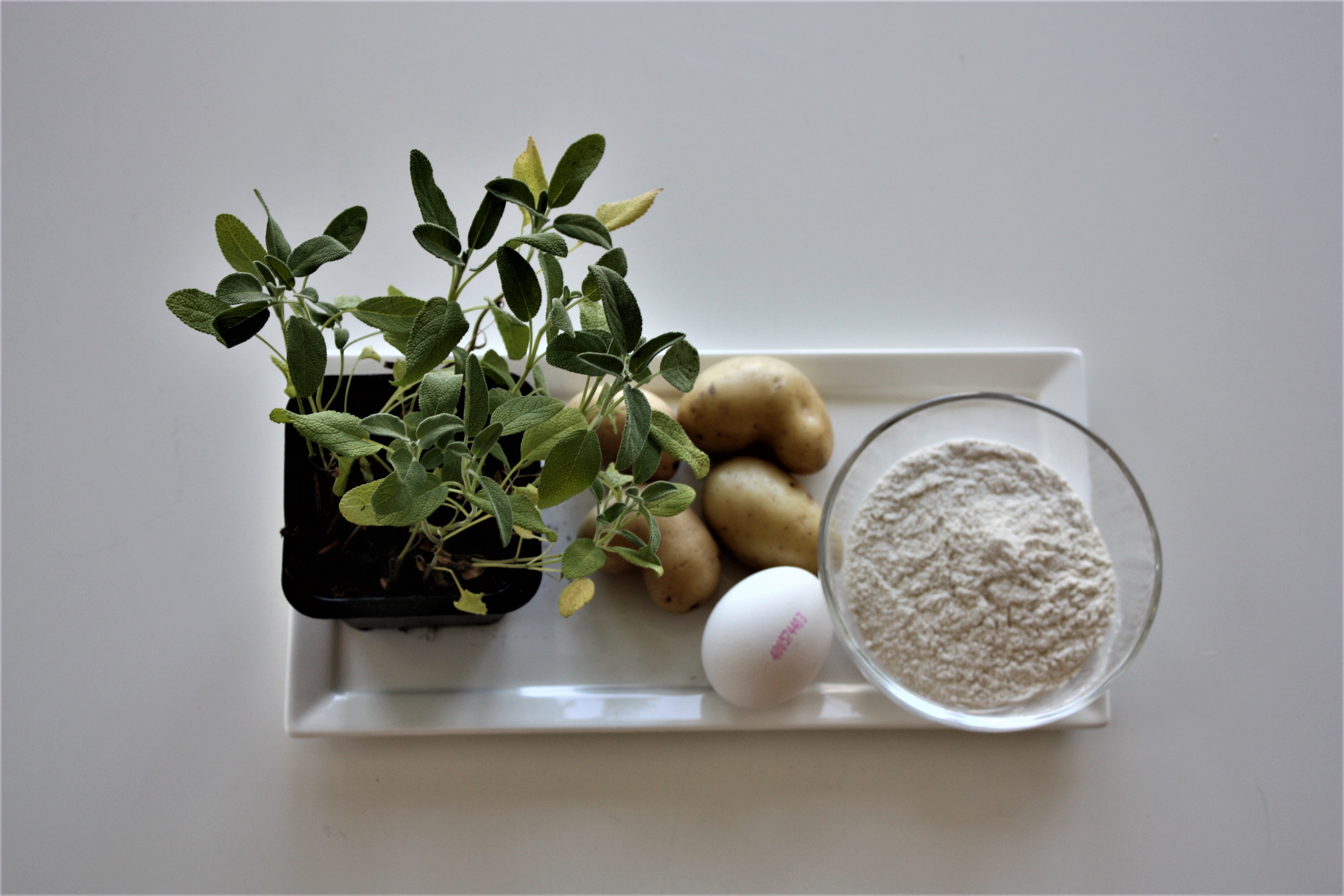 Recipe Gnocchi Ingredients