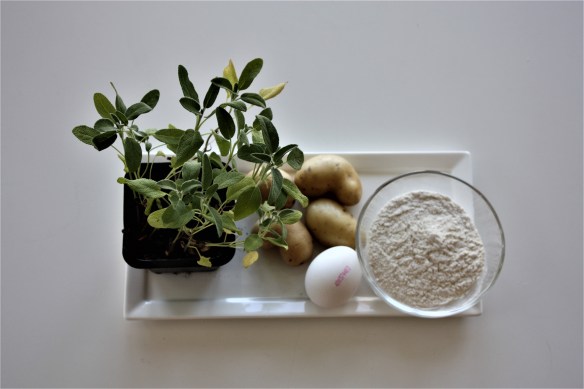 Recipe Gnocchi Ingredients