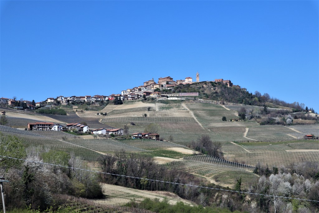 Piemontegirl La Morra